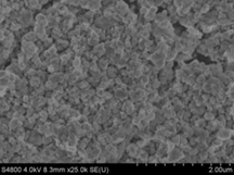 YSZ (Yttria-Stabilized Zirconia) Powder as Electrode Precursor and Electrolyte for SOFC/SOEC, 100 or 500/bottle, CSOFECEPEYSZ