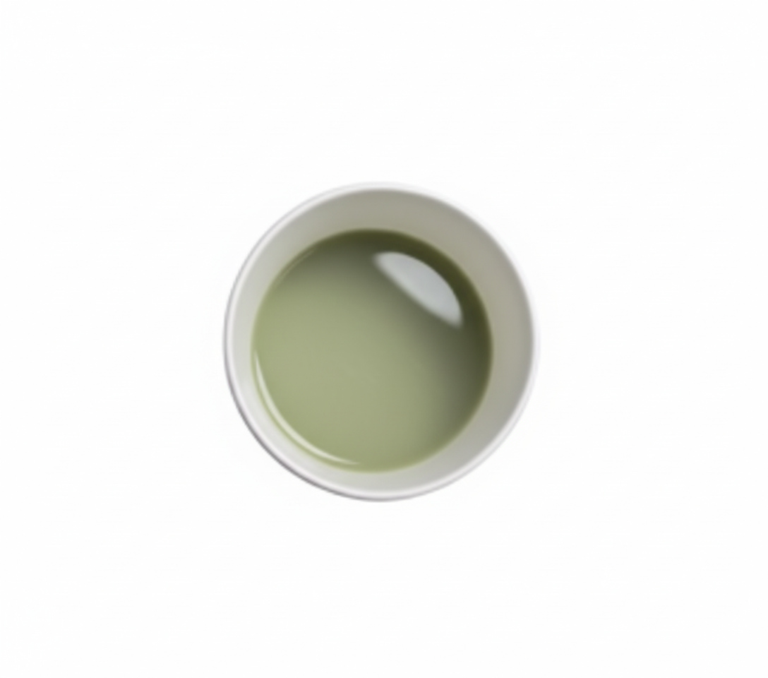 NiO (73 wt%) Electrode Slurry for SOFC/SOEC, 100 g/bottle, CSOFECESNiO